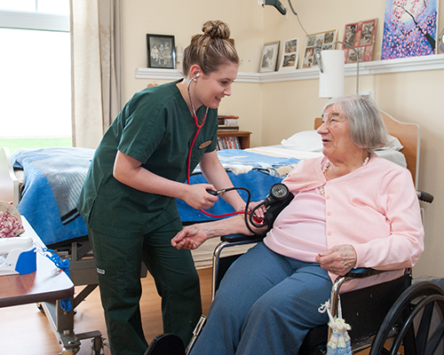 Supportive Care Assistant banner image