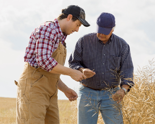 Climate Smart Agrology for Economic and Sustainable Production banner image