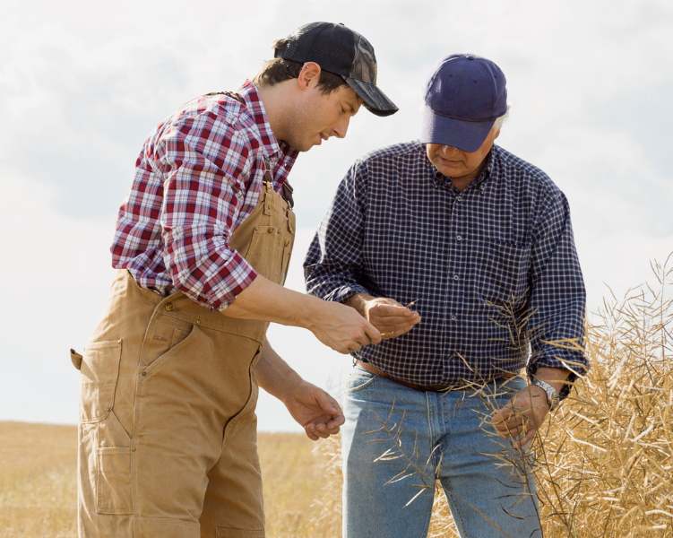 Climate Smart Agrology for Economic and Sustainable Production banner image