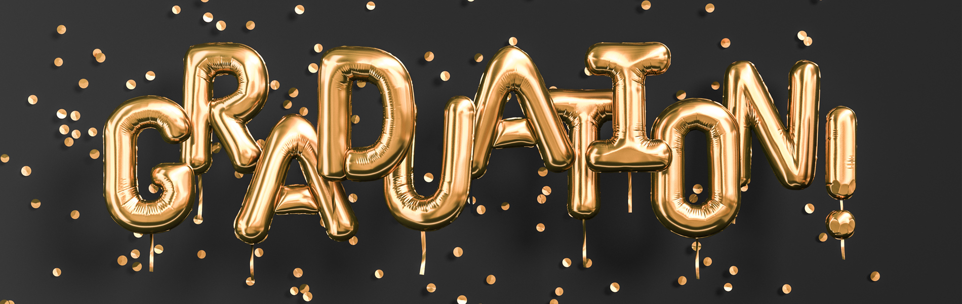 Digital Programs banner image
