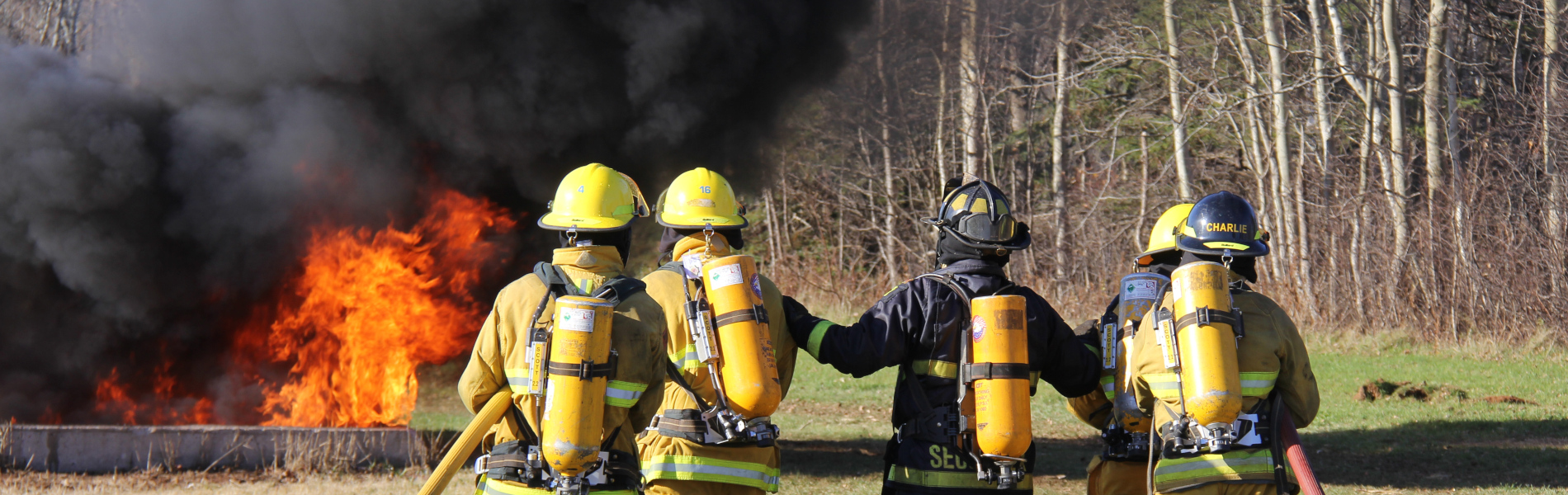 Professional Firefighter banner image
